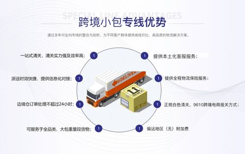 拉美DDP信息咨詢(xún)服務(wù)費(fèi)用解析